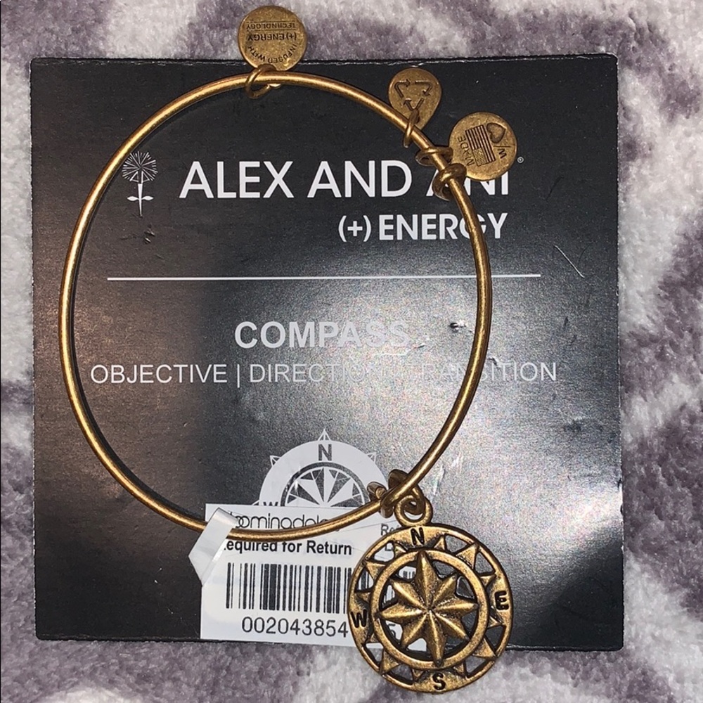 ALEX & ANI compass charm bangle